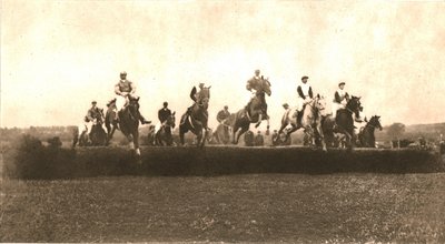 Puchar polowań, Punchestown, 1911. autorstwa Unbekannt