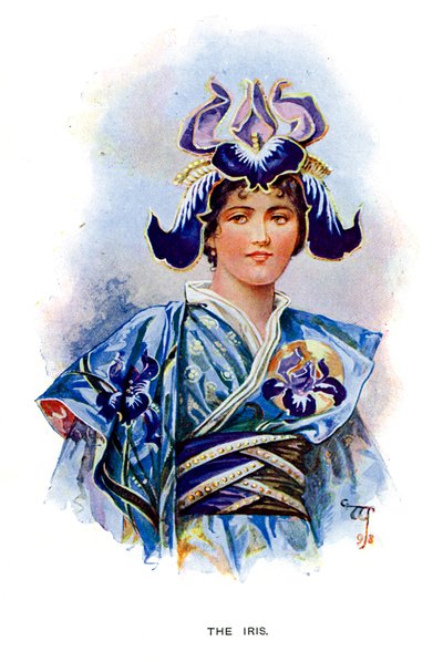 Irys, 1899 autorstwa Unbekannt