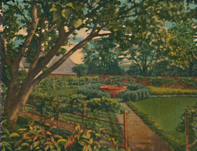 Ogród Kuchenny, 1946 autorstwa Unbekannt