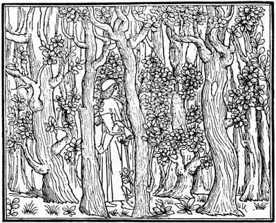 Kochanek w lesie, 1499 1964 autorstwa Unbekannt