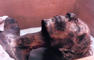 Mumia Ramzesa II, Egipt, 1213 pne autorstwa Unbekannt