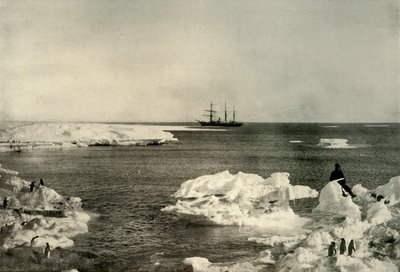 Nimrod leżący w kryjówce pingwinów, c1908, 1909. autorstwa Unbekannt