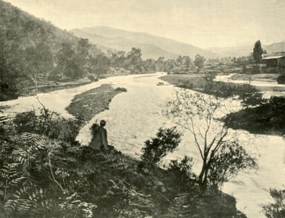 Piekarniki w Bright, 1901. autorstwa Unbekannt