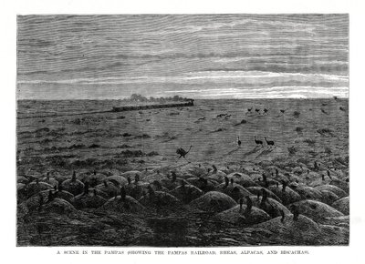 Kolej Pampas, niziny Ameryki Południowej, 1877 autorstwa Unbekannt