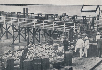 Przemysł połowu pereł - powłoka opakowaniowa, 1923. autorstwa Unbekannt