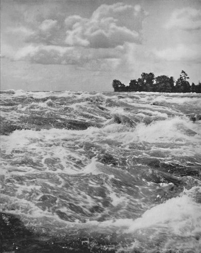 Rapids nad amerykańską jesienią, XIX w. autorstwa Unbekannt