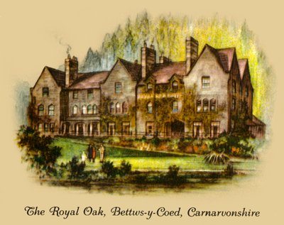 Dąb Królewski, Bettws-y-Coed, Carnavonshire, 1936. autorstwa Unbekannt
