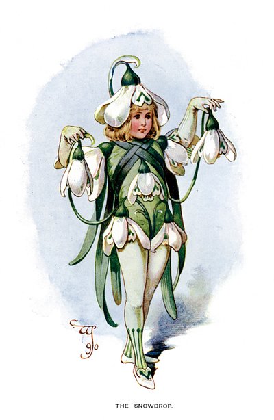Przebiśnieg, 1899 autorstwa Unbekannt