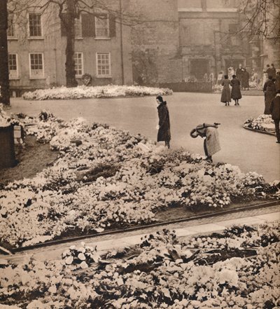 Państwowy pogrzeb króla Jerzego V w Windsor: wieńce na pamiątkę, 1936 autorstwa Unbekannt