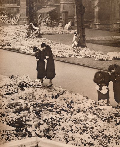 Państwowy pogrzeb króla Jerzego V w Windsor: wieńce na pamiątkę, 1936 autorstwa Unbekannt