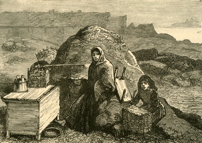 Stan Irlandii: eksmitowana rodzina w pobliżu Errismore, ok. 1880 r. autorstwa Unbekannt