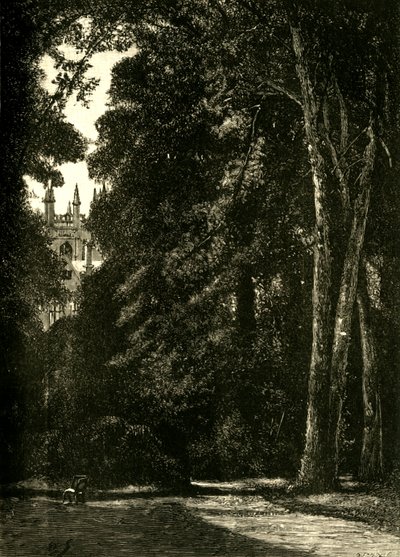Wieża Merton, z ogrodu, 1898. autorstwa Unbekannt