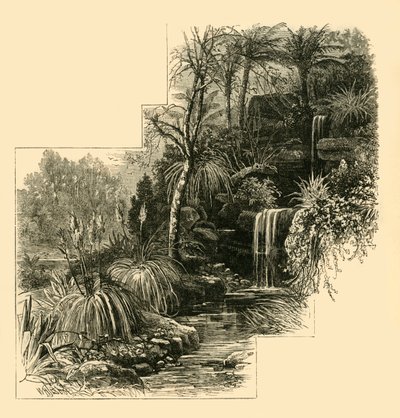 Ogrody Tropikalne, Park Battersea, ok. 1878 r. autorstwa Unbekannt