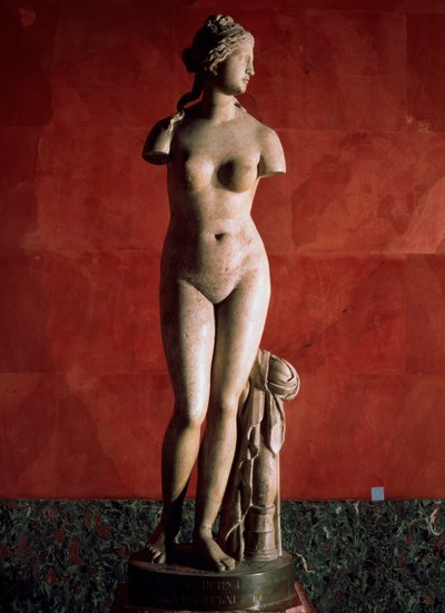 Wenus Tauryda lub Wenus z Taurydy, II wne autorstwa Unbekannt