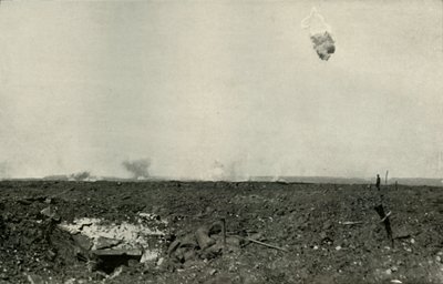 Niedźwiedź włochaty, 1919. autorstwa Unbekannt