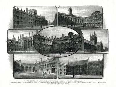 Kolegia Uniwersytetu Oksfordzkiego, 1895 autorstwa Unbekannt