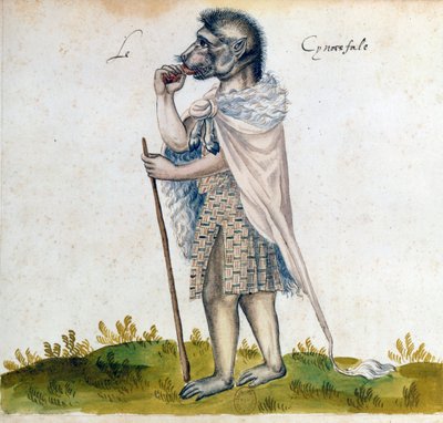 Cynocefal, XV wiek autorstwa Unbekannt