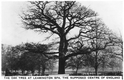 Dąb w Leamington Spa, rzekomym centrum Anglii, 1936 autorstwa Unbekannt
