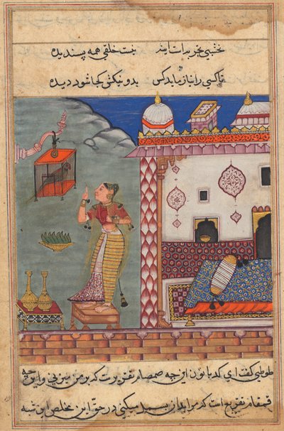 Papuga zwraca się do Khujasty na początku dwudziestej siódmej nocy, prosto z folio 185...c15 autorstwa Unbekannt