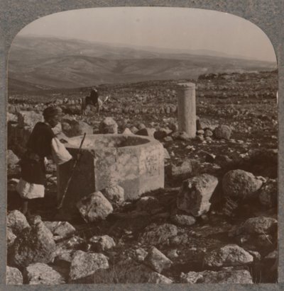 Ruiny Tekoa, ok. 1900 autorstwa Unbekannt