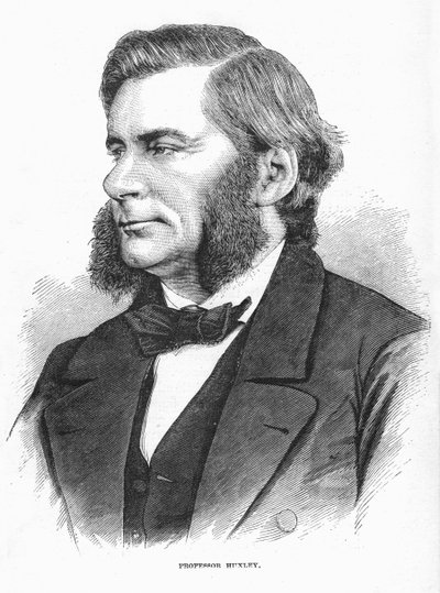 Thomas Henry Huxley, brytyjski biolog, ok. 1860 r. autorstwa Unbekannt