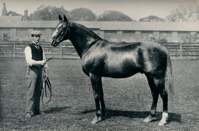 Koń wyścigowy pełnej krwi angielskiej, Bend Or, c1880 autorstwa Unbekannt
