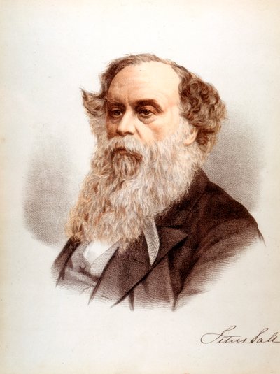 Titus Salt, brytyjski zszywacz i przemysłowiec, ok.1880 autorstwa Unbekannt