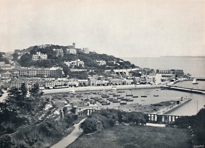 Torquay – widok ogólny ze wzgórza Waldron, 1895 autorstwa Unbekannt