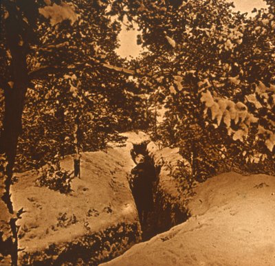 Rowy pod jodłami, c1914-c1918 autorstwa Unbekannt