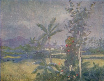 Tropikalne deszcze w Indiach Zachodnich, 1924 autorstwa Unbekannt