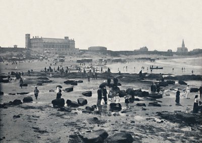 Tynemouth - Akwarium i Piaski, 1895 autorstwa Unbekannt