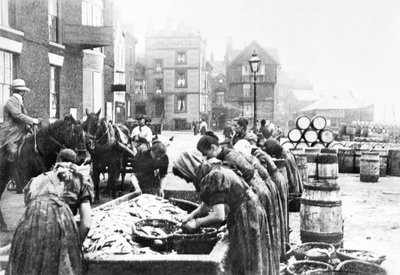 Wielka Brytania: Szkockie rynny śledziowe przy pracy w Scarborough. Scarborough, ok. 1890 r autorstwa Unbekannt