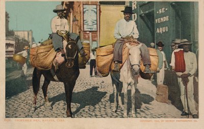 Warzywa, Hawana, Kuba, 1904 autorstwa Unbekannt