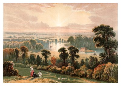 Widok z Richmond Hill, 1880 autorstwa Unbekannt