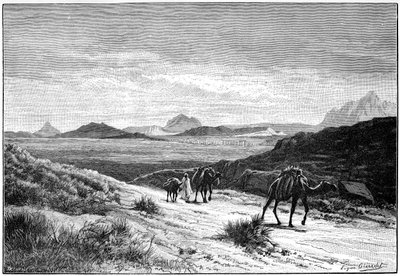 Widok z przełęczy Tellat, Tunezja, ok. 1890 autorstwa Unbekannt
