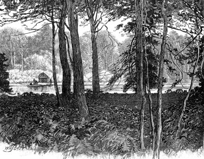 Widok w Claremont Park, Surrey, 1900 autorstwa Unbekannt
