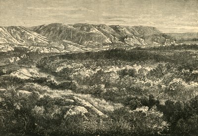 Widok w Dolinie Jordanu, 1890 r. autorstwa Unbekannt