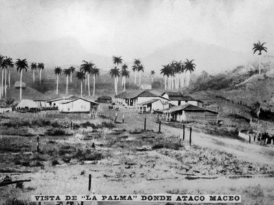 Widok Palmy, 1896, 1920 autorstwa Unbekannt