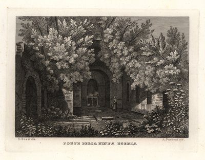 Widok źródła nimfy Egeria, Fonte della Ninfa Egeria, Parco Cafarella, Rzym autorstwa Unbekannt