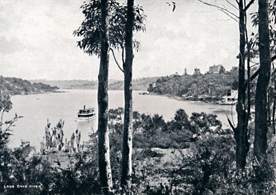 Widok na rzekę Lane Cove, ok. 1900. autorstwa Unbekannt