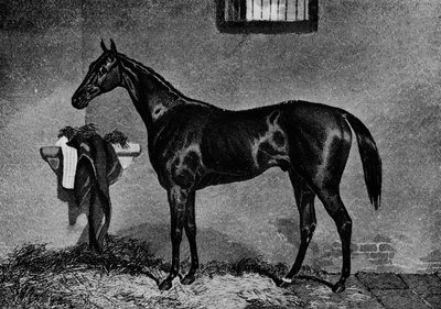 Voltigeur, 1847-1874, 1911 autorstwa Unbekannt