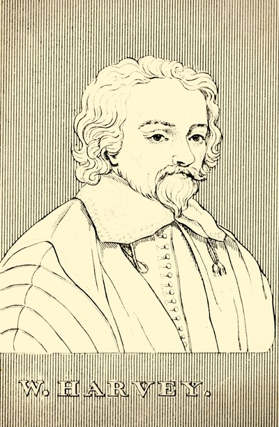 W. Harvey, 1578-1657, 1830. autorstwa Unbekannt