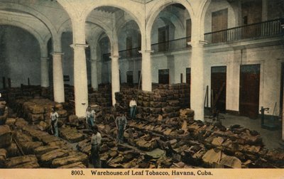 Magazyn tytoniu liściastego, Hawana, Kuba, ok. 1910 r. autorstwa Unbekannt