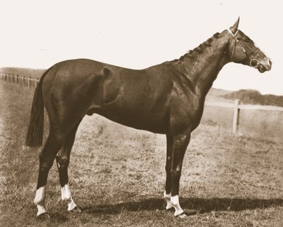 Wiatrowskaz, 1911. autorstwa Unbekannt