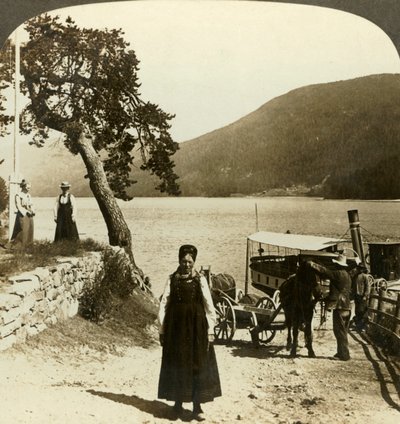 Kiedy parowiec nad jeziorem zawija do molo Tinoset - widok przez Tinsjo na wzgórza, Norwegia, ok. 1905 r. autorstwa Unbekannt