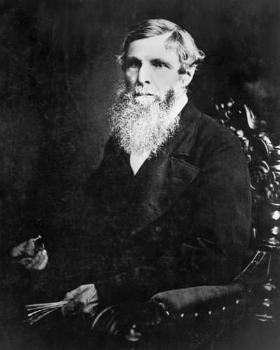 William Froude, angielski inżynier i architekt marynarki, ok. 1870 autorstwa Unbekannt