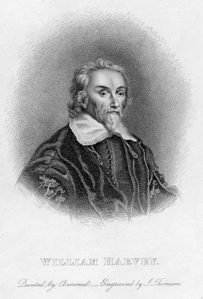 William Harvey 1578-1657 Angielski lekarz, ok. XVII w. autorstwa Unbekannt