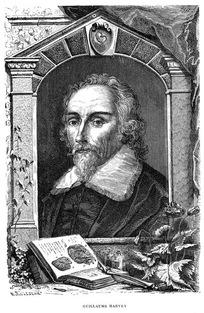 William Harvey 1578-1657 Angielski lekarz, ok. XVII w. autorstwa Unbekannt