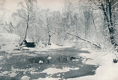 Zimowy widok skansenu w Skansen, ok. 1900 autorstwa Unbekannt
