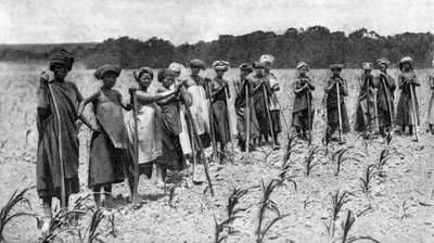 Kobiety spulchniające pole kukurydzy, Republika Południowej Afryki, ok. 1923 r. autorstwa Unbekannt